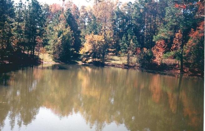 The pond is where Joey and I spend a lot of our childhood. Beautiful to us all times of the year.